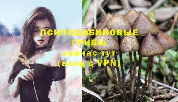 гашишное масло Липки