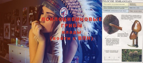 мдпв Лихославль
