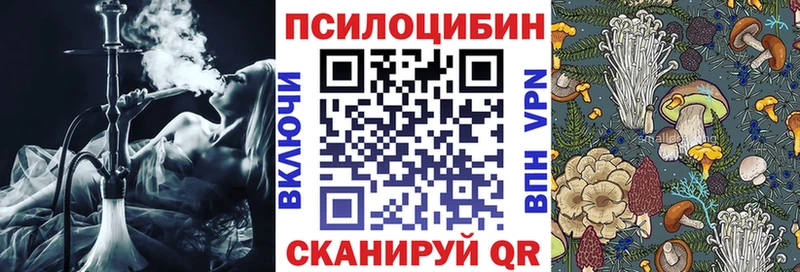 Галлюциногенные грибы Magic Shrooms mega ссылки Чадан